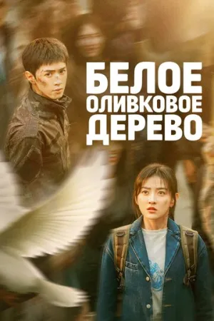 Белое оливковое дерево (1 сезон: 1-38 серии из 38) / Bai se gan lan shu (The White Olive Tree) / 2025 / ПМ (Lucky Production) / WEB-DL (1080p) [39.52 ГБ]
