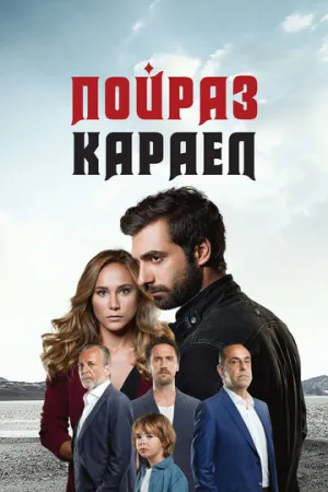 Пойраз Караел (1-3 сезоны: 1-230 серии из 250) / Poyraz Karayel / 2015-2017 / ПМ (IVI) / WEB-DLRip (720p) [118.66 ГБ]