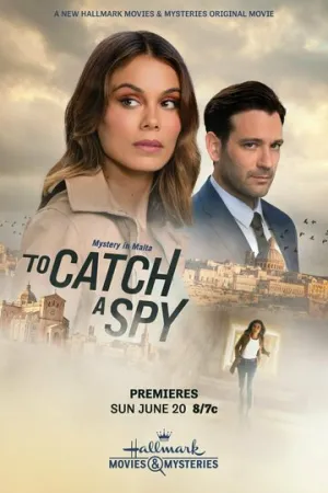 Поймать шпиона / To Catch a Spy / 2021 / ЛМ / WEB-DL (1080p) [6.05 ГБ]