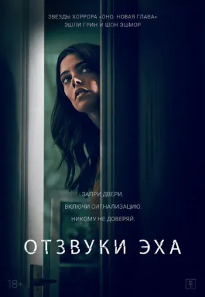 Отзвуки эха (Отзвуки) / Aftermath / 2021 / ДБ, СТ / Blu-Ray Remux (1080p) [16.62 ГБ]