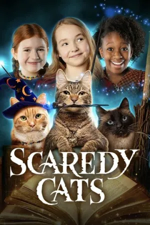 Пугливые кошки (1 сезон: 1-9 серии из 9) / Scaredy Cats / 2021 / ДБ (VSI Moscow), СТ / WEB-DL (1080p) [12.95 ГБ]