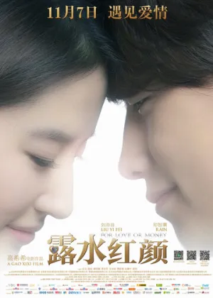 Любовь или деньги / Lu shui hong yan / 2014 / ЛМ / WEB-DL (1080p) [3.64 ГБ]